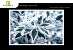Lot de 6 cartes postales - hiver 2 - photos frédéric engel