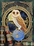 Kit carte broderie diamant 21x29cm hibou et sortilèges