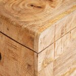 vidaXL Boîte de Rangement avec stockage bois de manguier massif