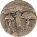 Pièce de monnaie en Argent 2000 Francs g 62.2 (2 oz) Millésime 2025 MAGIC MUSHROOM