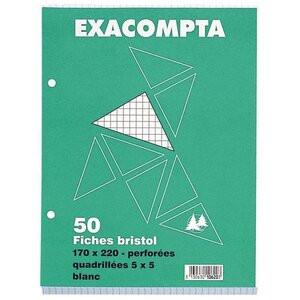 Étui de 50 fiches perforées bristol 5x5 17 x 22 cm blanc