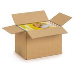 Caisse carton brune simple cannelure raja 25x10x10 cm (lot de 25)