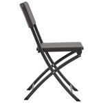 vidaXL Chaises pliables de jardin lot de 2 PEHD et acier