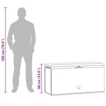 vidaXL Boîte de rangement de jardin Anthracite 114x47x60 cm