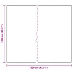 vidaXL Couverture pour plantes Transparent 10 x 12 m PE