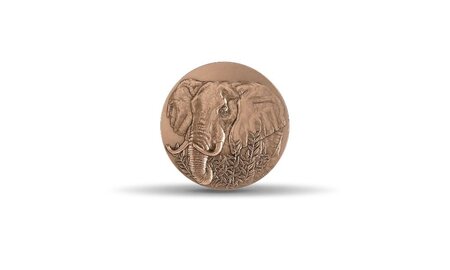 Médaille bronze Eléphant