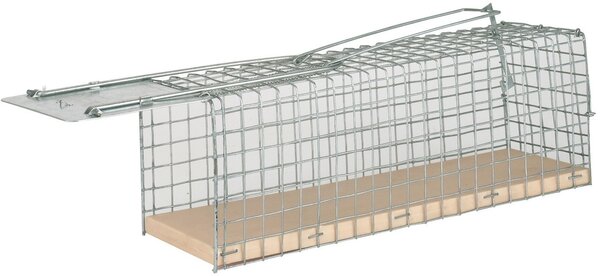 Nasse à rats Alive