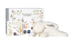 Ma première pièce Coffret : Monnaie de 5€ Argent BE colorisée + doudou