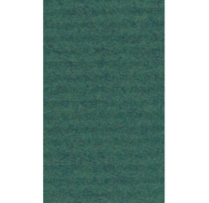 Rouleau papier kraft 3x0.70m vert mousse clairefontaine