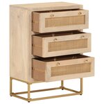 vidaXL Commode 55x30x76 cm bois massif de manguier et fer