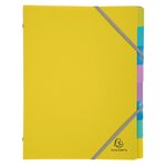 Trieur Polypropylène 3 Rabats Forever Young 8 Compartiments - A4 - Couleurs Assorties - X 8 - Exacompta