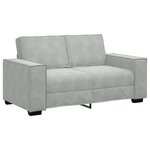 vidaXL Canapé à 2 places Gris clair 160x78x84 cm Velours