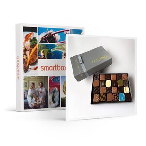 SMARTBOX - Coffret Cadeau Gourmandise à domicile : ballotin de 48 chocolats artisanaux -  Gastronomie