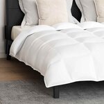vidaXL Ensemble de Duvet avec oreiller 3 Pièces Blanc Plume de canard