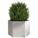 vidaXL Jardinière hexagone 69x60x45 cm acier inoxydable