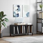 vidaXL Armoire à disques noir 100x38x48 cm bois d'ingénierie