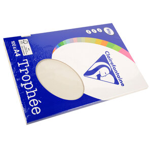 Ramette 100 Feuilles Papier 80g A4 210x297 mm gris perle TROPHÉE