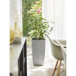 PoeTIC - Bac Casa Authentic carré haut 3058 ciment - L 29,9 x l 29,9 x h 57,4 cm 12L - avec réserve d'eau