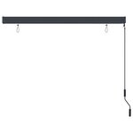 vidaXL Store roulant d'extérieur 160x250 cm Anthracite