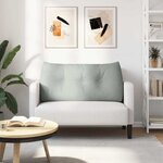 vidaXL Coussin de Dos Gris clair 100 x 24 x 50 cm Velours