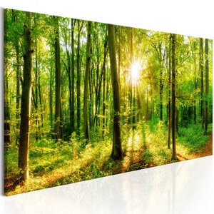 Tableau - green magic l x h en cm 150x50