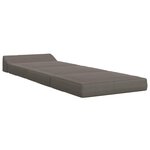 vidaXL Canapé-lit pliable Gris clair 200 x 70 x 10 cm
