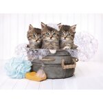PUZZLE 500 pieces - Kittens and soap - 49 X 36 cm