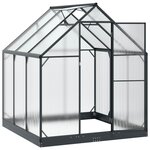 vidaXL Serre de jardin avec porte Anthracite 183 5 x 183 5 x 207 cm