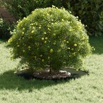 vidaXL adapté pour anneaux d'arbre plats 5 Pièces Vert olive Ø30 / 60 cm