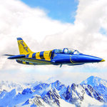 Vol de 30 minutes sur avion de chasse l-39 albatros au-dessus des alpes suisses - smartbox - coffret cadeau sport & aventure