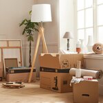 Pack and Move - Lot 20 cartons déménagement automatique - 60 x 50 x 40 cm - Poignées renforcées