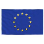 vidaXL Drapeau de l'Europe et mât 6 08 m Aluminium