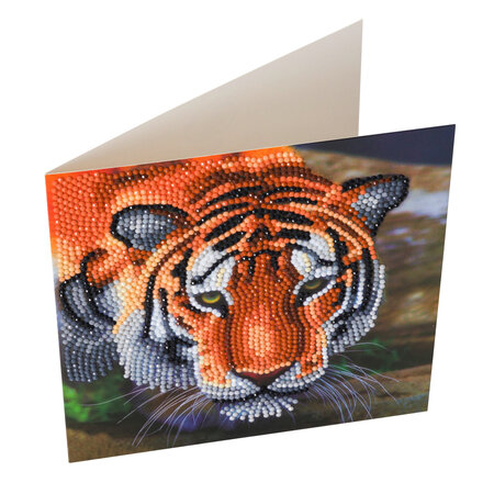 Kit carte broderie diamant 18x18cm Tigre