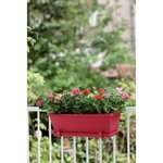 ELHO Balconniere Barcelona 40 - Fruits rouges - Extérieur & Balcon - L 19,5 x W 39,5 x H 15,6 cm