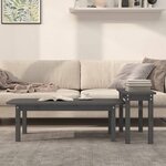 vidaXL Ensemble de tables basses 2 Pièces Gris Bois massif de pin