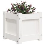 vidaXL Jardinière blanc 31x31x31 cm bois de pin massif