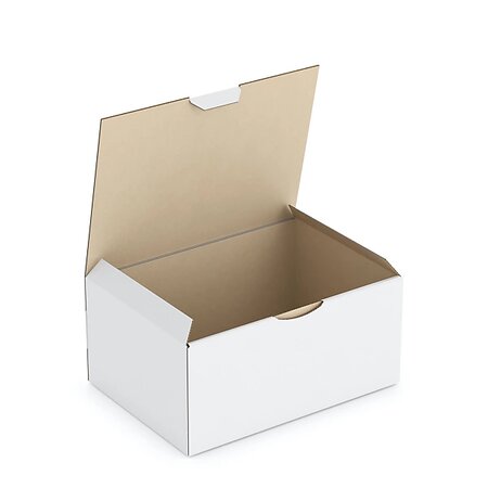 Boîte carton blanche d'expédition rajapost 21 5x15 5x10 cm (lot de 50)