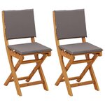 vidaXL Chaises de bistrot d'extérieur 2 Pièces Gris foncé