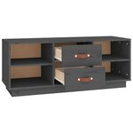 vidaXL Meuble TV Gris 100x34x40 cm Bois de pin massif
