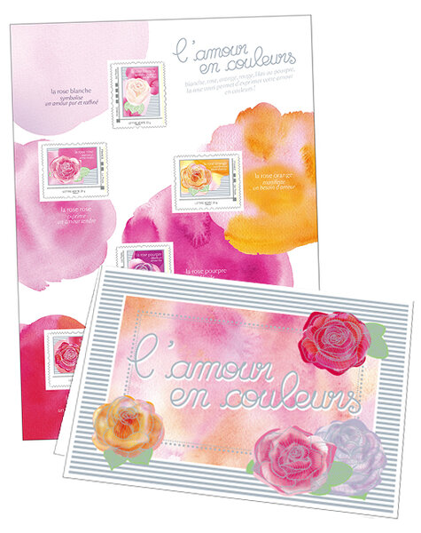 Collector - L'amour en couleurs