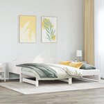 vidaXL Lit de jour et lit gigogne sans matelas 80x200 cm bois massif