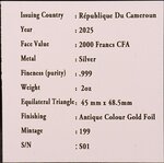 Pièce de monnaie en Argent 2000 Francs g 62.2 (2 oz) Millésime 2025 SAINT ANDREW