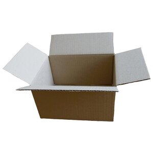 Pochette d'envoi par la Poste en carton blanc à fermeture adhésive -  310x445 mm