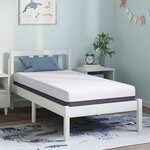 vidaXL Matelas Blanc  Gris 80 x 160 cm Mousse