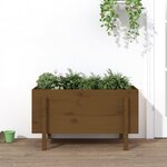 vidaXL Lit surélevé de jardin brun miel 101x50x57cm bois de pin massif