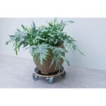 Nature Chariot à plantes rond Ø38 cm noir bois