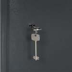 vidaXL Coffre-fort Gris foncé RAL7016 31 x 35 x 50 cm Acier