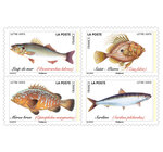 Carnet 12 timbres - Poissons de mer - Lettre verte