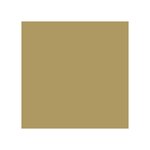 Pack de 25 Cartes Simples 210g 160x160 or Clairefontaine