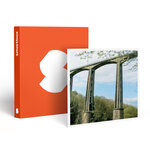 SMARTBOX - Coffret Cadeau Stage adrénaline de 3 sauts à l'élastique de 45 mètres au viaduc de Saint-Georges-le-Gaultier -  Sport & Aventure